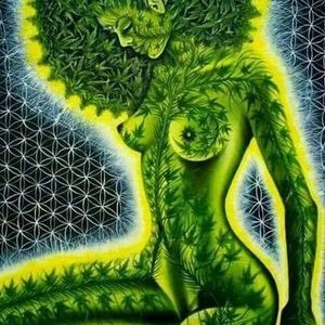 Meet your Posher, Alaina